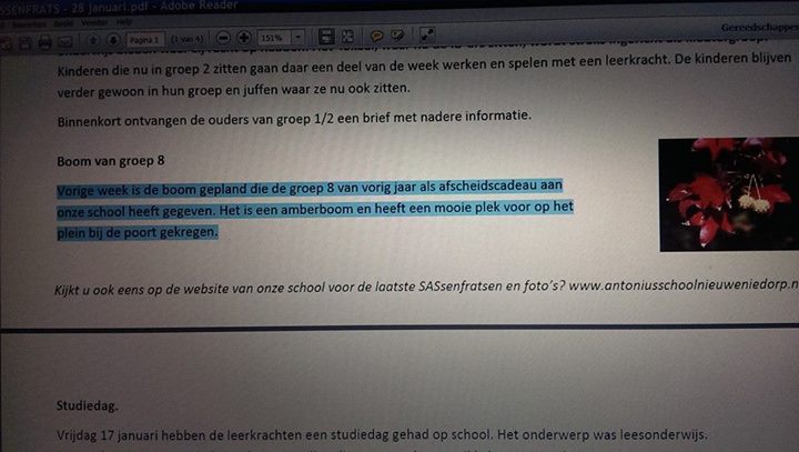 En wanneer staat de boom ingepland om geplant te worden?