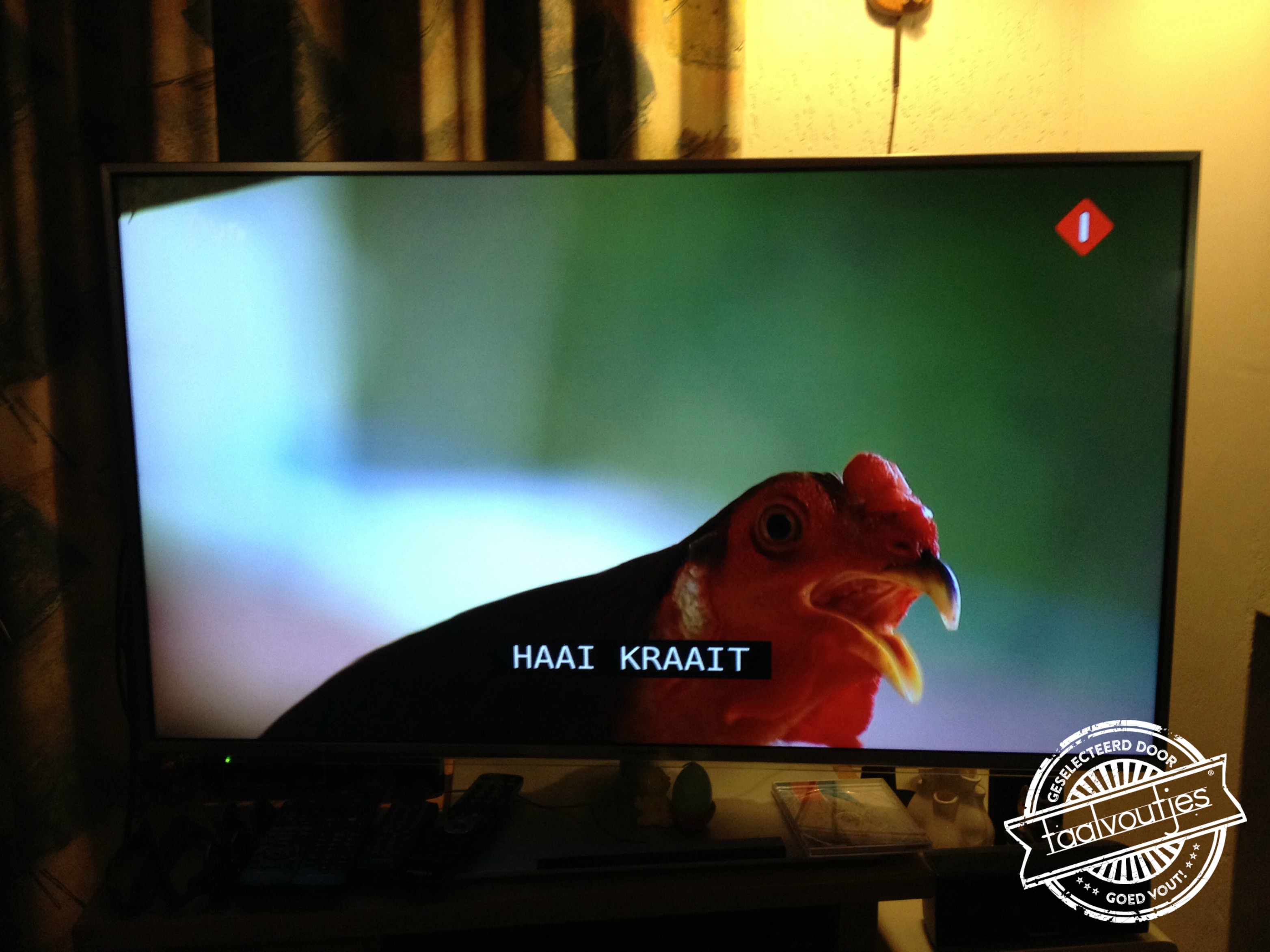 En de papegaai spint.