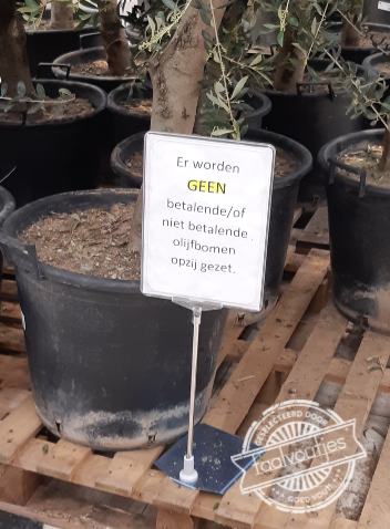 Ik wil ook zo'n geldboom!