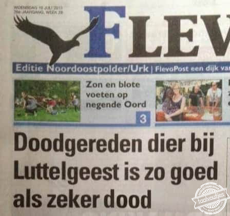 Je verwacht het niet.