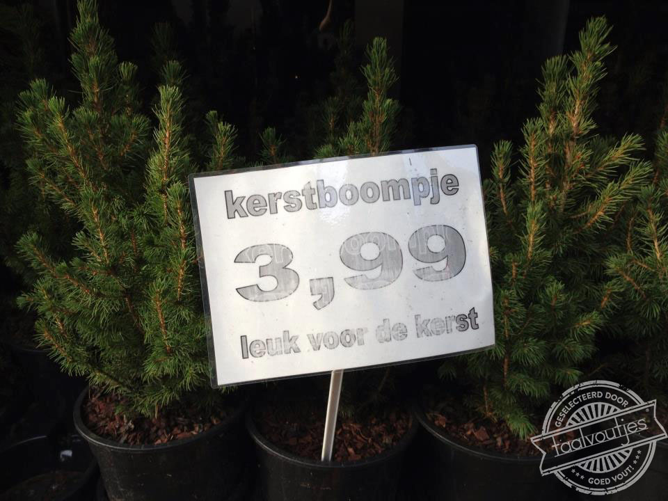 Je verwacht het niet.