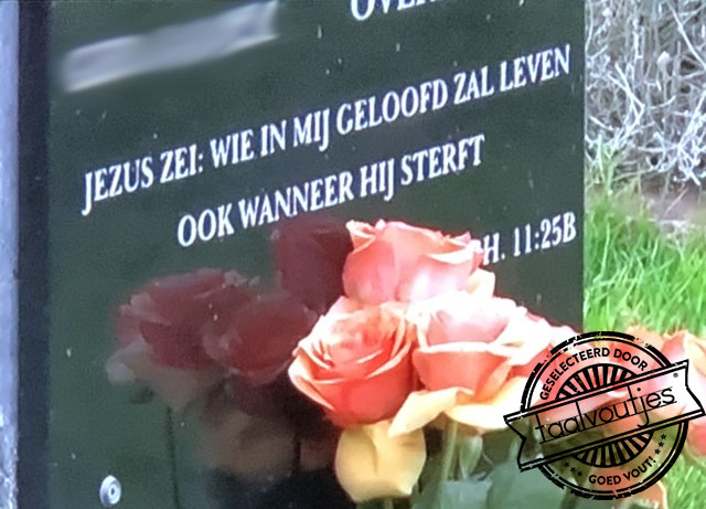 En Hij zag dat het vout was.