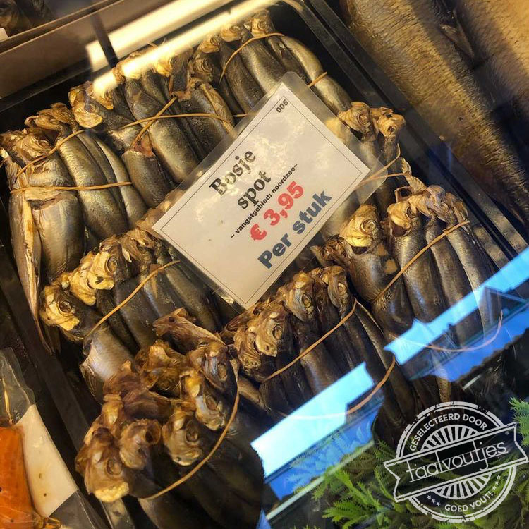 De meest sarcastische onder de vissen.