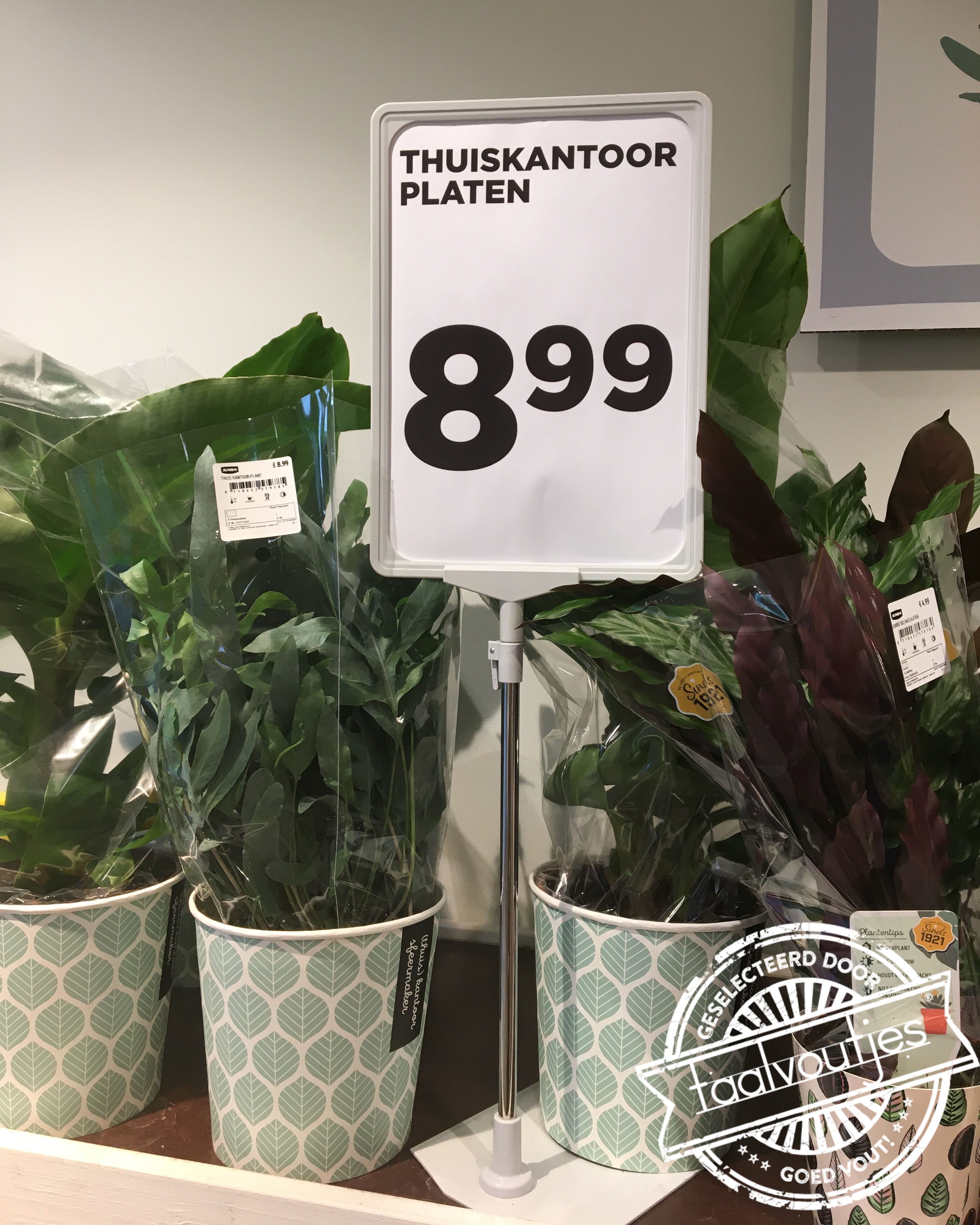 Helemaal groengedraaid.