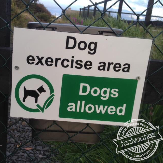 Je verwacht het niet.