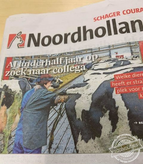 Nou, daar ga je 'm niet vinden.