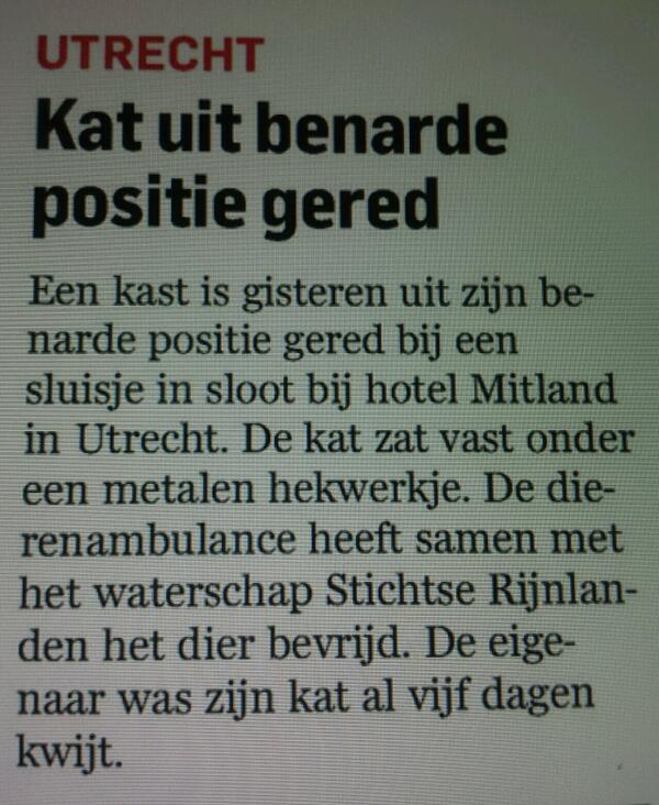 Voortaan toch maar een kast zonder pootjes kopen