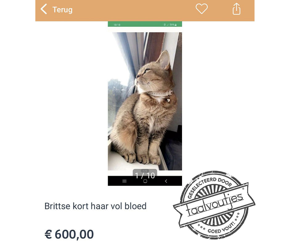 Niet voor de poes.
