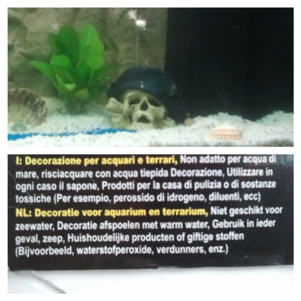 Ik denk niet dat m'n vissen dat overleven...