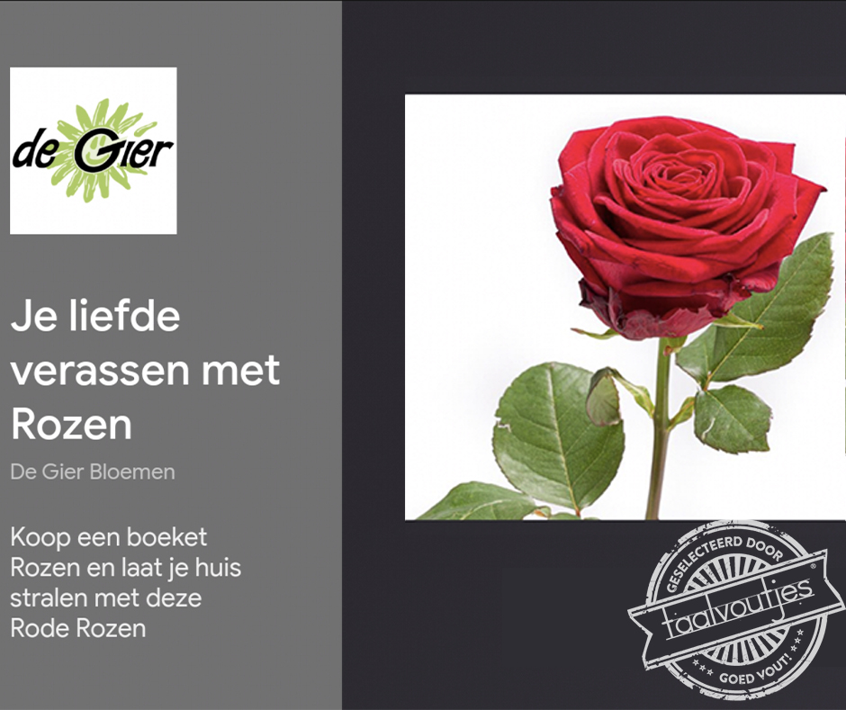 Vuurrode rozen.