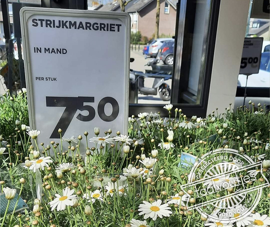 Multifunctionele plant.