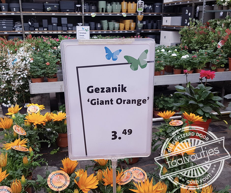 Stralend middelpunt.