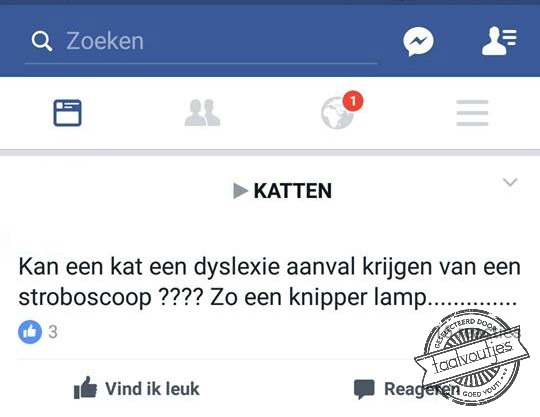 Schrijvers in de knel: 10 dyslectische voutjes