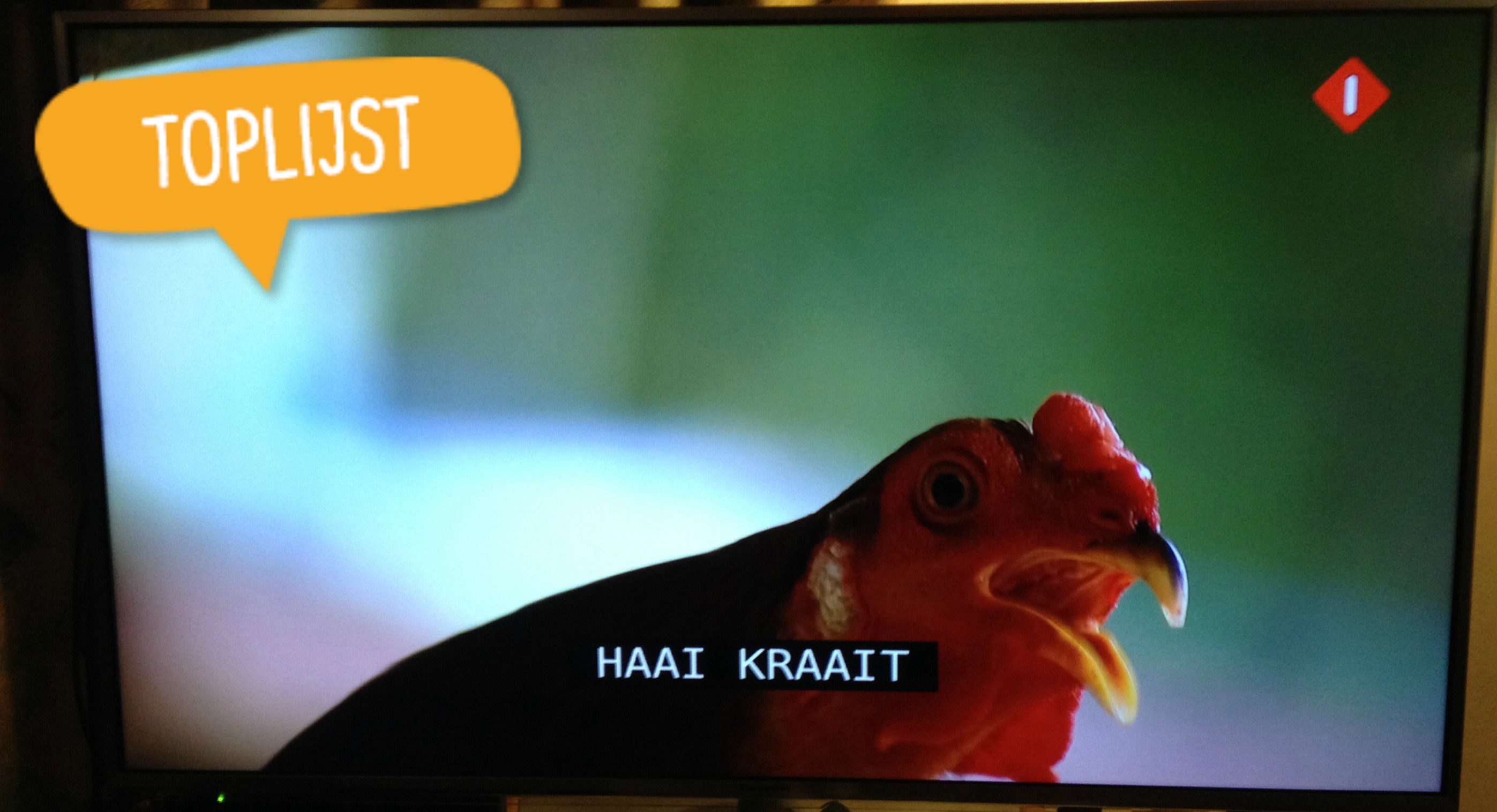 Plottwist! 10 voutjes in ondertiteling