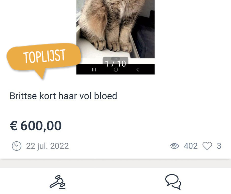 10 onheilspellende voutjes ter ere van Halloween