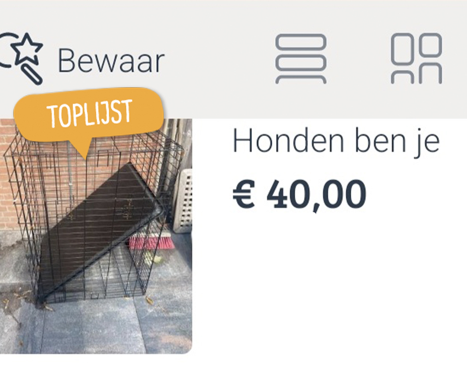 10 marktplaatsvoutjes