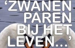 Boekrecensie: Zwanen paren bij het leven