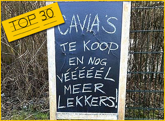 30 beestachtige voutjes