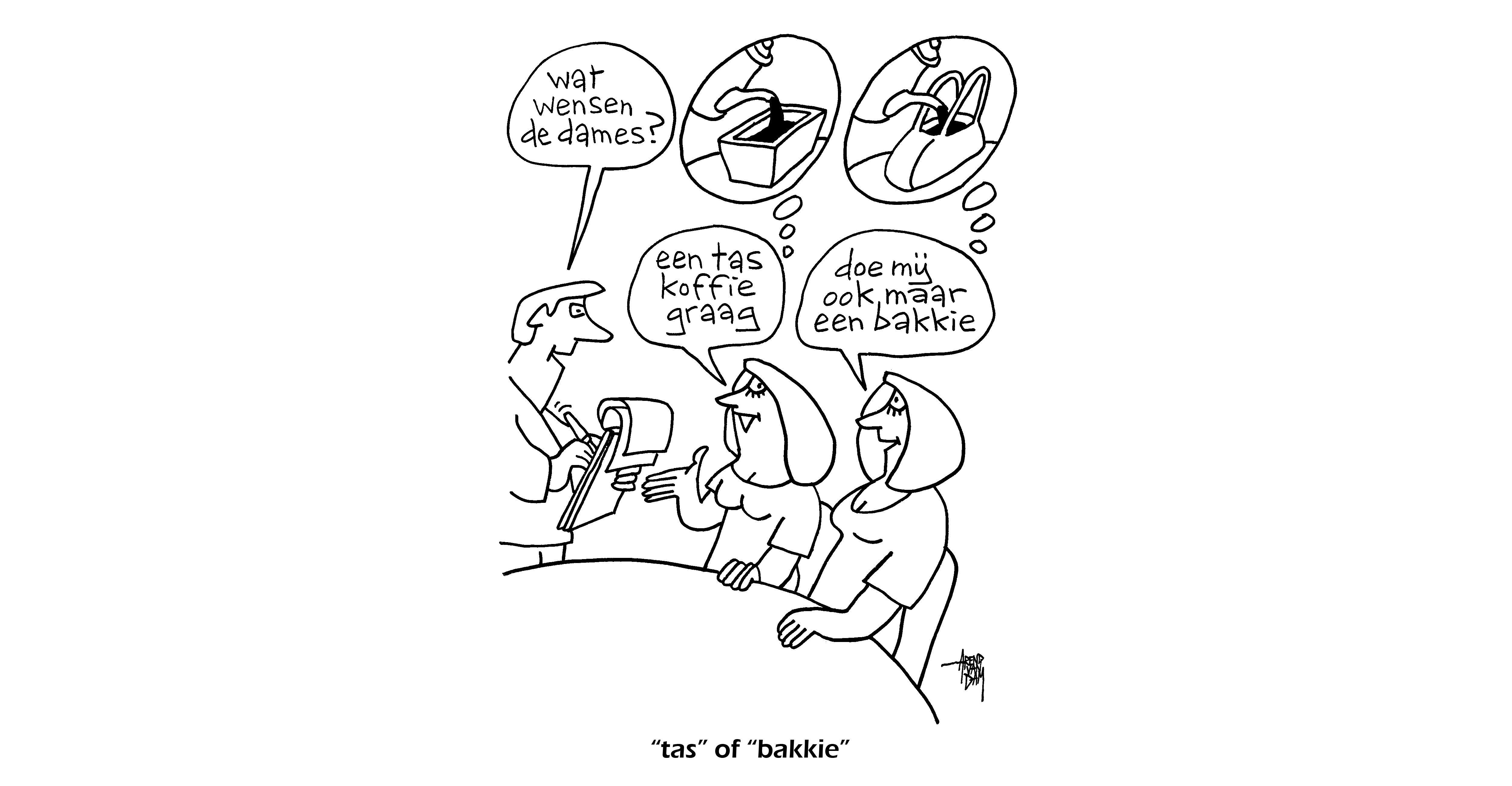 Column: Fileparkeren in het hol van Pluto - over de verschillen tussen Nederlands en Vlaams