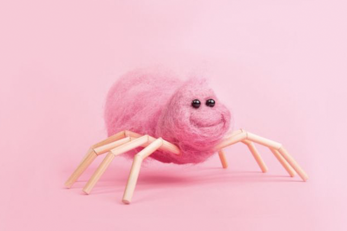 Boekrecensie: Waar komt suikerspin vandaan?