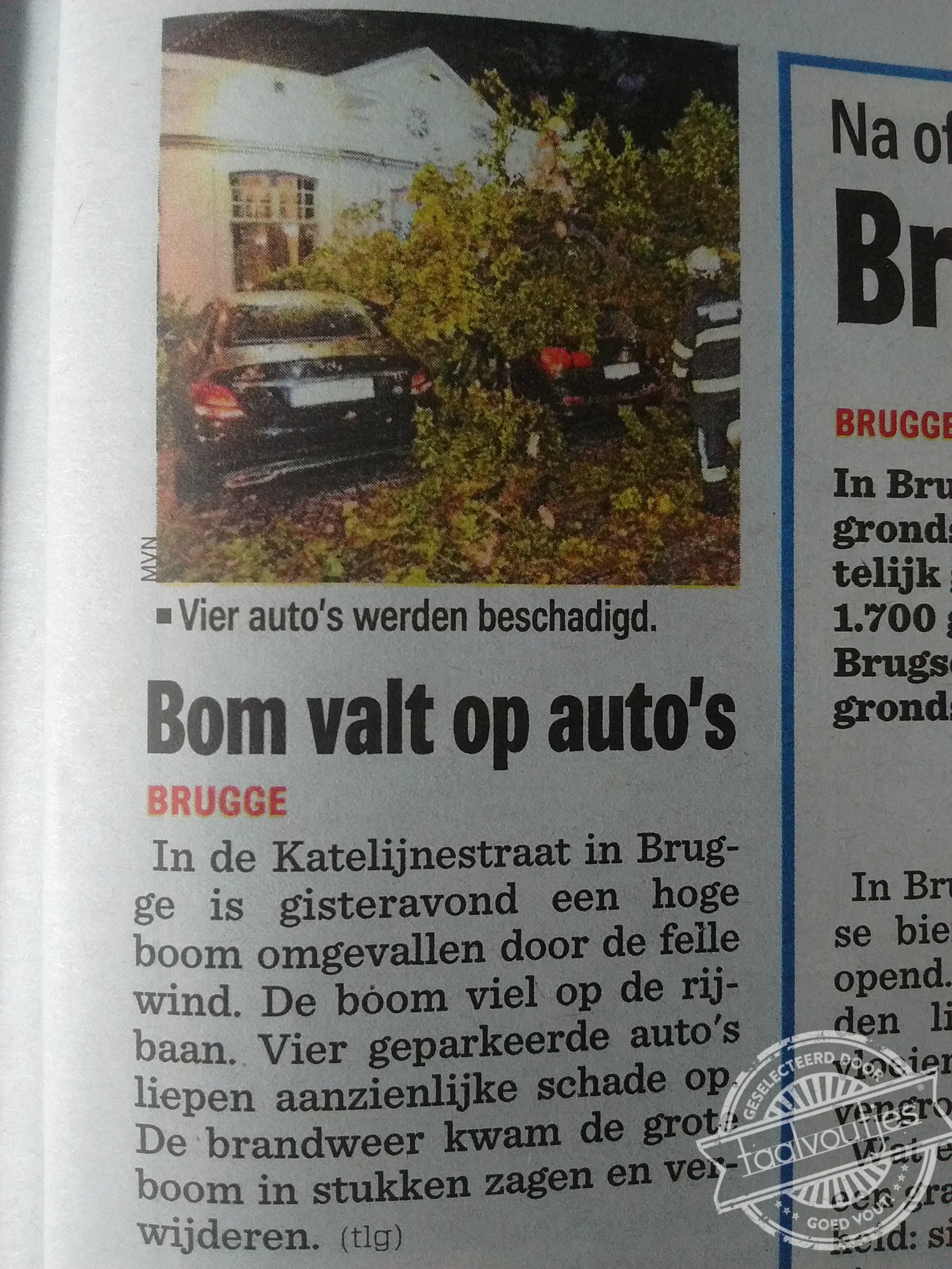 Column: taalergernissen