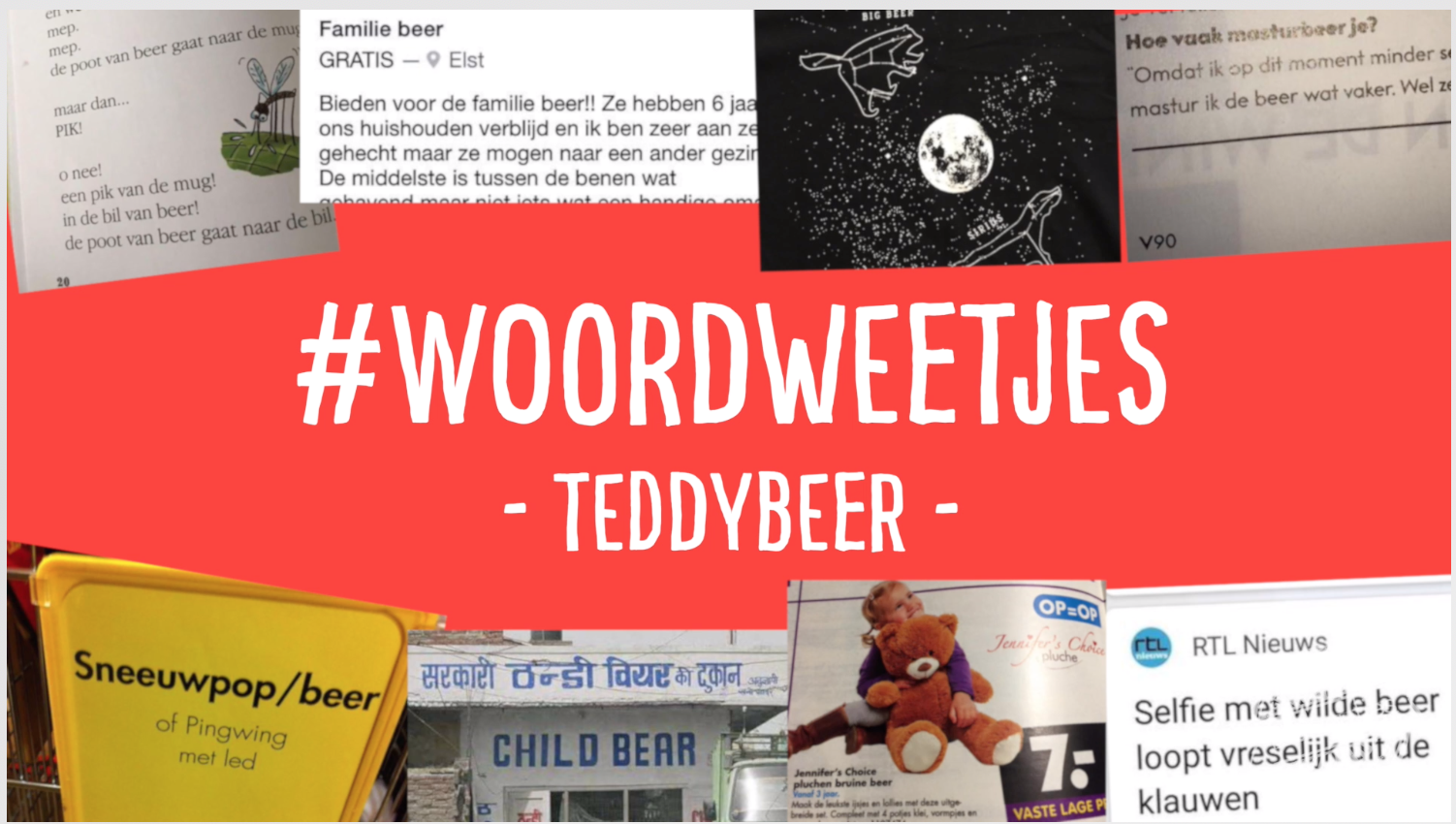 Woordweetje in beeld: Teddybeer