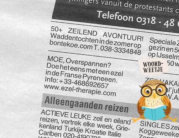 Woordweetje: ezelsbruggetje