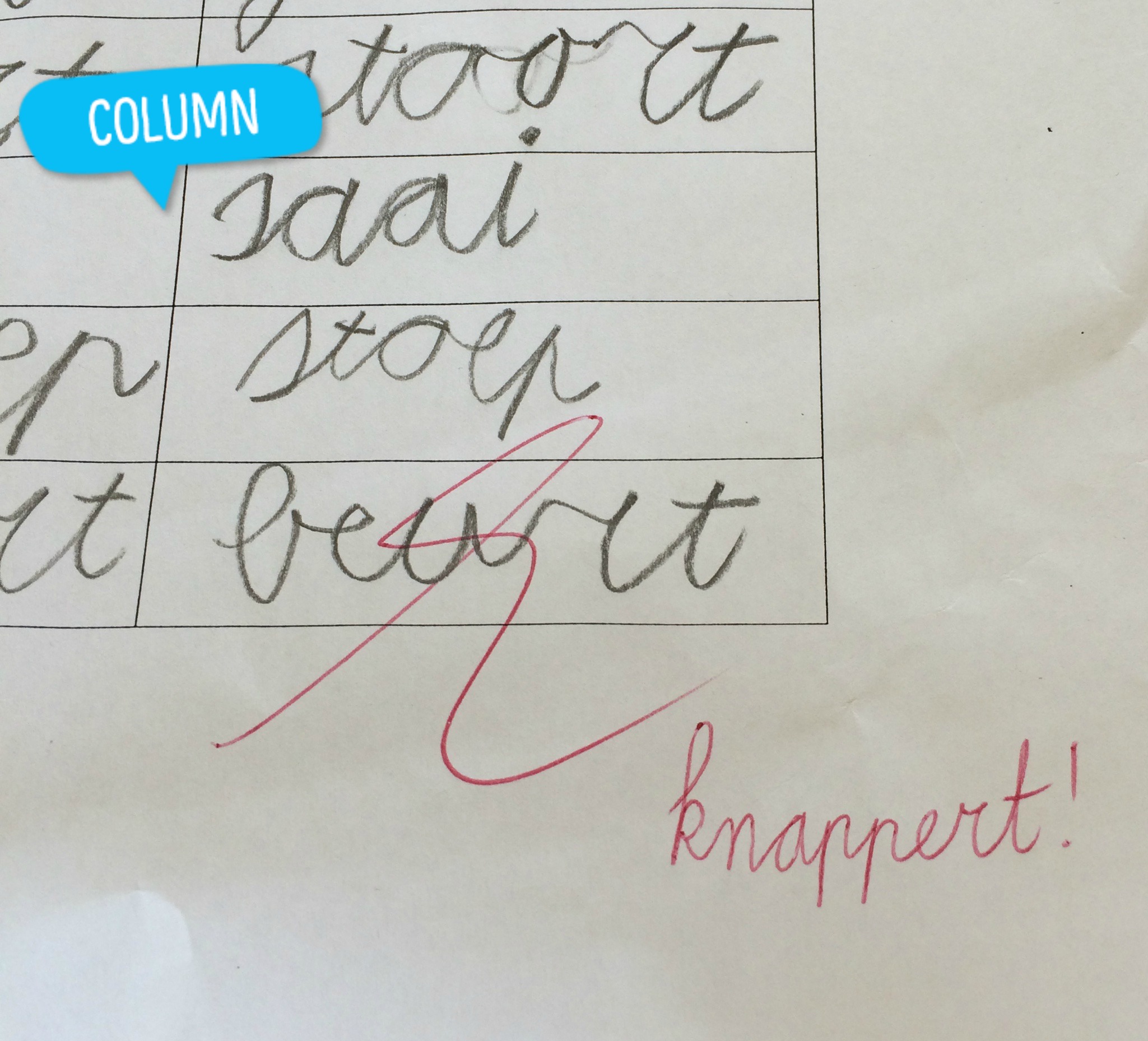 Column: Het Groot Dictee