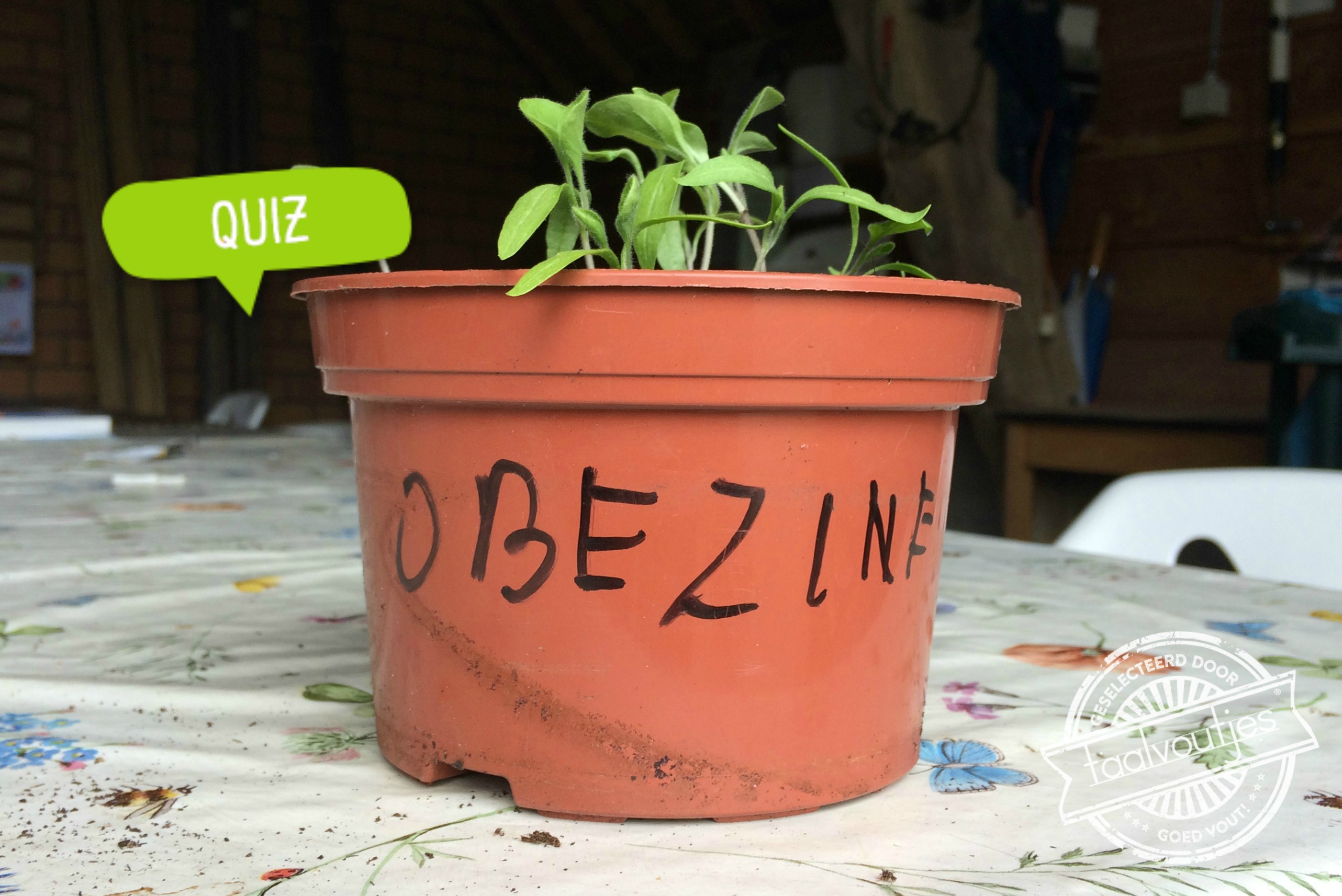 Quiz: Hoe gezond is jouw spelling?