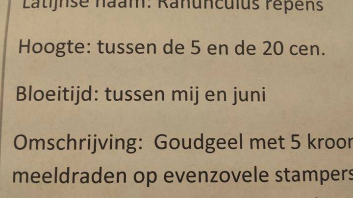10. Hoe zit het dan tussen jou en juli?