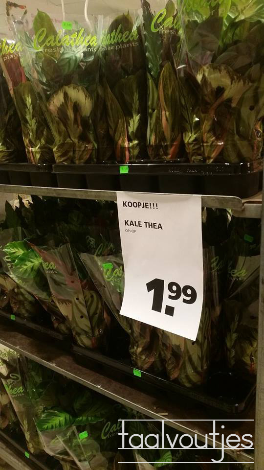 10. Mét haar is ze duurder