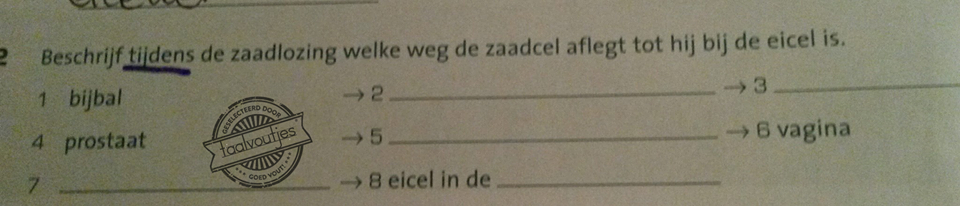 8. Dan heb je als man wel wat anders te doen, toch?