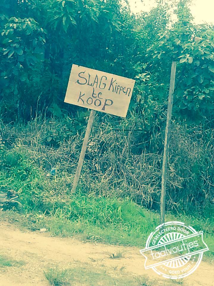 Erg sportief, gek op honkbal