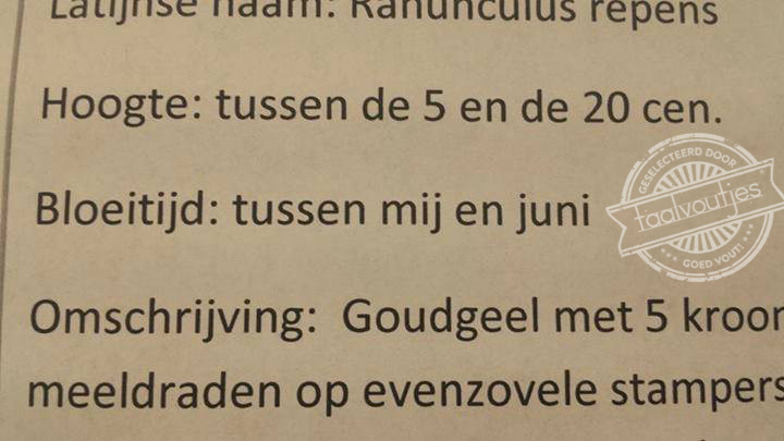Hoe zit het dan tussen jou en juli?